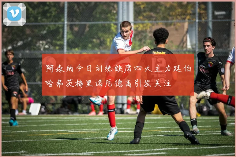 阿森纳今日训练缺席四大主力廷伯哈弗茨梅里诺厄德高引发关注