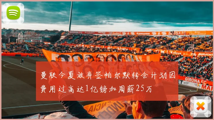 曼联今夏放弃签帕尔默转会计划因费用过高达1亿镑加周薪25万